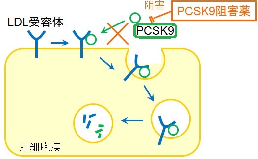PCSK9