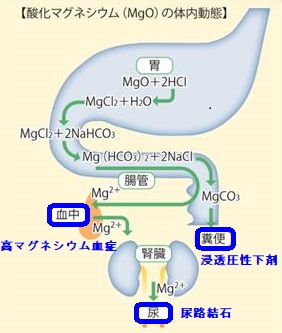 酸化 マグネシウム 牛乳