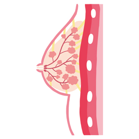 乳癌と甲状腺 甲状腺 橋本病 バセドウ病 甲状腺超音波 エコー 検査 長崎甲状腺クリニック 大阪 乳癌と甲状腺 甲状腺 橋本病 バセドウ病 甲状腺超音波 エコー 検査 長崎甲状腺クリニック 大阪
